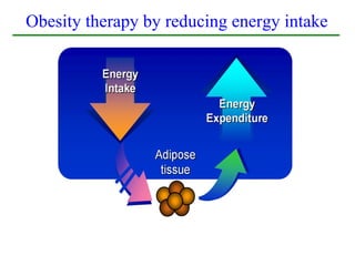 Obesity therapy by reducing energy intake
 