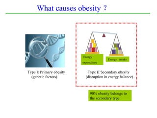 What causes obesity ？




                          Energy
                                          Energy intake
                          expenditure


Type I: Primary obesity      Type II:Secondary obesity
  (genetic factors)         (disruption in energy balance)



                               90% obesity belongs to
                               the secondary type
 