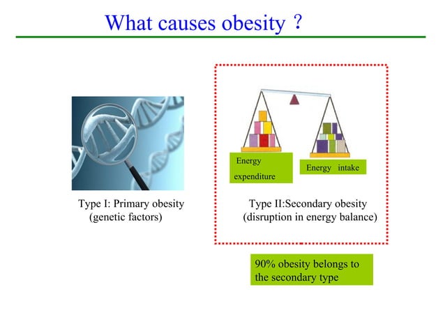 Obesity and nutrition | PPT
