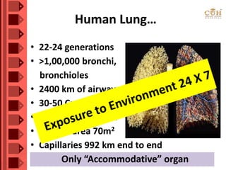 Human Lung…
• 22-24 generations
• >1,00,000 bronchi,
bronchioles
• 2400 km of airways
• 30-50 Cr alveoli
• 0.3mm in diameter
• Surface area 70m2
• Capillaries 992 km end to end
 
