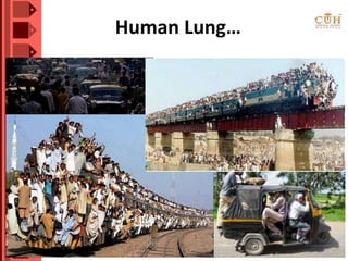 Human Lung…
 