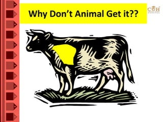 Why Don’t Animal Get it??
 