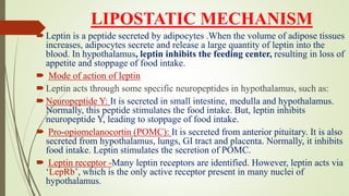 LIPOSTATIC MECHANISM
Leptin is a peptide secreted by adipocytes .When the volume of adipose tissues
increases, adipocytes secrete and release a large quantity of leptin into the
blood. In hypothalamus, leptin inhibits the feeding center, resulting in loss of
appetite and stoppage of food intake.
 Mode of action of leptin
Leptin acts through some specific neuropeptides in hypothalamus, such as:
Neuropeptide Y: It is secreted in small intestine, medulla and hypothalamus.
Normally, this peptide stimulates the food intake. But, leptin inhibits
neuropeptide Y, leading to stoppage of food intake.
 Pro-opiomelanocortin (POMC): It is secreted from anterior pituitary. It is also
secreted from hypothalamus, lungs, GI tract and placenta. Normally, it inhibits
food intake. Leptin stimulates the secretion of POMC.
 Leptin receptor -Many leptin receptors are identified. However, leptin acts via
‘LepRb’, which is the only active receptor present in many nuclei of
hypothalamus.
 