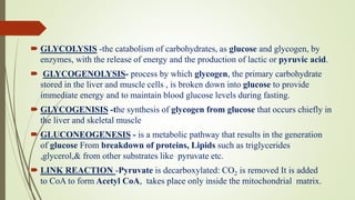  GLYCOLYSIS -the catabolism of carbohydrates, as glucose and glycogen, by
enzymes, with the release of energy and the production of lactic or pyruvic acid.
 GLYCOGENOLYSIS- process by which glycogen, the primary carbohydrate
stored in the liver and muscle cells , is broken down into glucose to provide
immediate energy and to maintain blood glucose levels during fasting.
 GLYCOGENISIS -the synthesis of glycogen from glucose that occurs chiefly in
the liver and skeletal muscle
 GLUCONEOGENESIS - is a metabolic pathway that results in the generation
of glucose From breakdown of proteins, Lipids such as triglycerides
,glycerol,& from other substrates like pyruvate etc.
 LINK REACTION -Pyruvate is decarboxylated: CO2 is removed It is added
to CoA to form Acetyl CoA, takes place only inside the mitochondrial matrix.
 