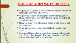 ROLE OF ADIPOSE IN OBESITY
Adipose, or fat, tissue is loose connective tissue composed
of fat cells known as adipocytes.
Adipocytes contain lipid droplets of stored triglycerides.
These cells swell as they store fat and shrink when the fat
is used for energy.
There are three types of adipose tissue: white, brown, and
beige adipose.
White adipose stores energy and helps to insulate the
body.
Brown and beige adipose tissue burn energy and generate
heat. Their colour is derived from the abundance of blood
vessels and mitochondria in the tissue.
 