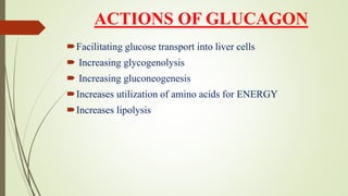 ACTIONS OF GLUCAGON
Facilitating glucose transport into liver cells
 Increasing glycogenolysis
 Increasing gluconeogenesis
Increases utilization of amino acids for ENERGY
Increases lipolysis
 