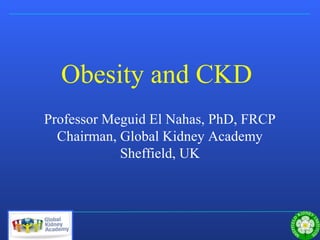 Sheffield Kidney Institute
Obesity and CKD
Professor Meguid El Nahas, PhD, FRCP
Chairman, Global Kidney Academy
Sheffield, UK
 