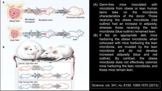 Science; vol. 341; no. 6150; 1069-1070 (2013)
(A) Germ-free mice inoculated with
microbiota from obese or lean human
twins take on the microbiota
characteristics of the donor. Those
receiving the obese microbiota (red
outline) had an increase in adiposity,
whereas those receiving the lean
microbiota (blue outline) remained lean.
(B) If fed an appropriate diet, mice
harboring the obese microbiota, when
cohoused with mice harboring the lean
microbiota, are invaded by the lean
microbiota and do not develop
increased adiposity (blue and red
outline). By contrast, the obese
microbiota does not effectively colonize
mice harboring the lean microbiota, and
these mice remain lean.
 