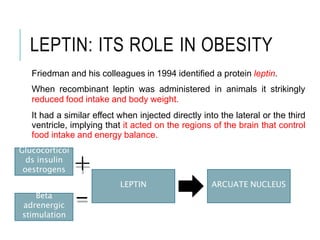 LEPTIN: ITS ROLE IN OBESITY
Friedman and his colleagues in 1994 identified a protein leptin.
When recombinant leptin was administered in animals it strikingly
reduced food intake and body weight.
It had a similar effect when injected directly into the lateral or the third
ventricle, implying that it acted on the regions of the brain that control
food intake and energy balance.
LEPTIN ARCUATE NUCLEUS
Glucocorticoi
ds insulin
oestrogens
Beta
adrenergic
stimulation
+
-
 