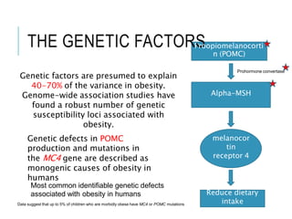 n (POMC)
THE GENETIC FACTORP
S
roopiomelanocorti
Alpha-MSH
melanocor
tin
receptor 4
Reduce dietary
intake
Most common identifiable genetic defects
associated with obesity in humans
Data suggest that up to 5% of children who are morbidly obese have MC4 or POMC mutations
Genetic factors are presumed to explain
40-70% of the variance in obesity.
Genome-wide association studies have
found a robust number of genetic
susceptibility loci associated with
obesity.
Genetic defects in POMC
production and mutations in
the MC4 gene are described as
monogenic causes of obesity in
humans
Prohormone convertase
 