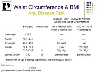High Bmi Risks Obesity prevalence | PPT