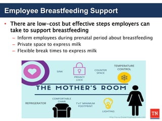 Employee Breastfeeding Support
• There are low-cost but effective steps employers can
take to support breastfeeding
– Inform employees during prenatal period about breastfeeding
– Private space to express milk
– Flexible break times to express milk
 