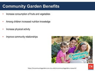 Community Garden Benefits
• Increase consumption of fruits and vegetables
• Among children increased nutrition knowledge
• Increase physical activity
• Improve community relationships
https://nccommunitygardens.ces.ncsu.edu/nccommunitygardens-research/
 