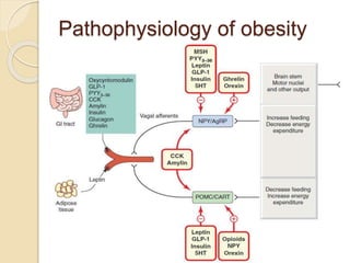 Pathophysiology of obesity
10
 