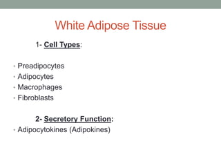White Adipose Tissue
1- Cell Types:
• Preadipocytes
• Adipocytes
• Macrophages
• Fibroblasts
2- Secretory Function:
• Adipocytokines (Adipokines)
 