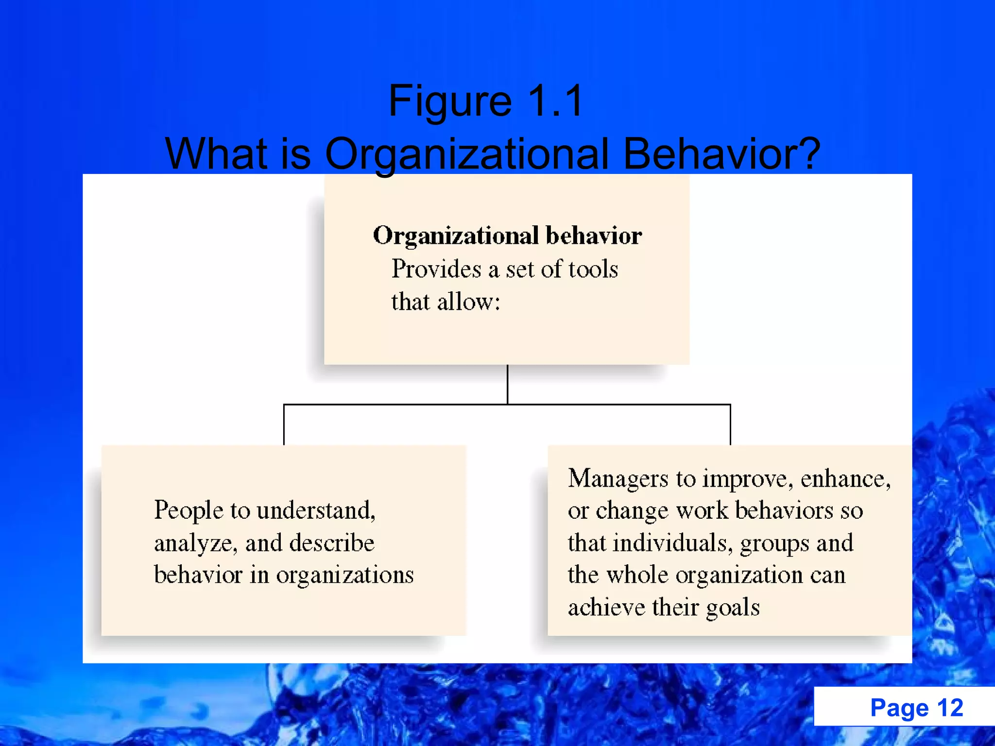 Figure 1.1  What is Organizational Behavior? Insert Figure 1.1 here 