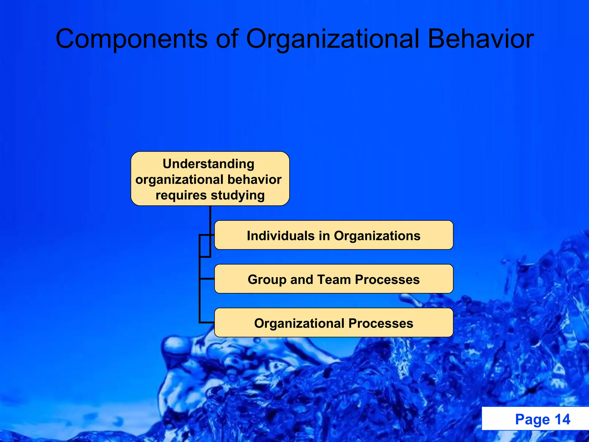 Components of Organizational Behavior Understanding  organizational behavior  requires studying Individuals in Organizations Group and Team Processes Organizational Processes 
