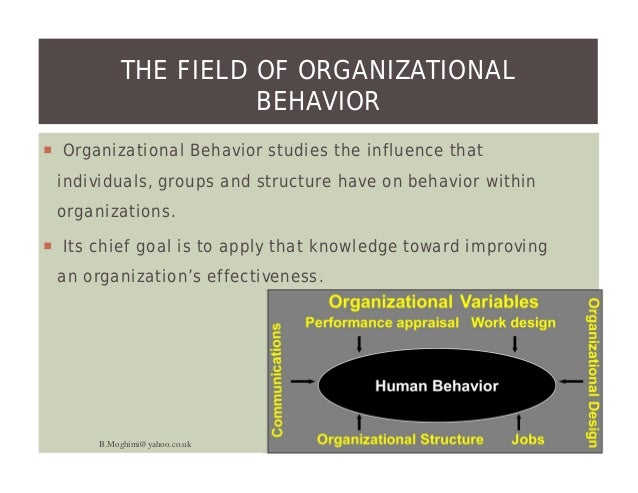 challenges of a manager in applying ob concepts Challenges and opportunities of organizational behavior the application of new technology and industries best practices will enable quantum improvement . challenges of a manager in applying ob concepts Challenges and opportunities of organizational behavior the application of new technology and industries best practices will enable quantum improvement .