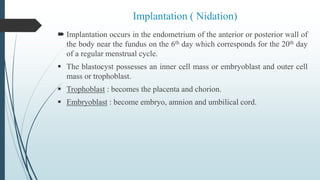 Implantation ( Nidation)
 Implantation occurs in the endometrium of the anterior or posterior wall of
the body near the fundus on the 6th day which corresponds for the 20th day
of a regular menstrual cycle.
 The blastocyst possesses an inner cell mass or embryoblast and outer cell
mass or trophoblast.
 Trophoblast : becomes the placenta and chorion.
 Embryoblast : become embryo, amnion and umbilical cord.
 