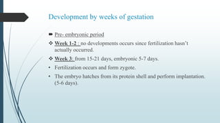 Development by weeks of gestation
 Pre- embryonic period
 Week 1-2 : no developments occurs since fertilization hasn’t
actually occurred.
 Week 3: from 15-21 days, embryonic 5-7 days.
• Fertilization occurs and form zygote.
• The embryo hatches from its protein shell and perform implantation.
(5-6 days).
 