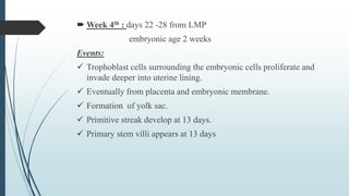  Week 4th : days 22 -28 from LMP
embryonic age 2 weeks
Events:
 Trophoblast cells surrounding the embryonic cells proliferate and
invade deeper into uterine lining.
 Eventually from placenta and embryonic membrane.
 Formation of yolk sac.
 Primitive streak develop at 13 days.
 Primary stem villi appears at 13 days
 