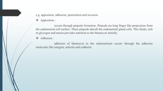 e.g. apposition, adhesion, penetration and invasion.
 Apposition :
occurs through pinpods formation. Pinpods are long finger like projections from
the endometrial cell surface. These pinpods absorb the endometrial gland cells. This fluids, rich
in glycogen and mucin provides nutrition to the blastocyst initially.
 Adhesion :
adhesion of blastocyst to the endometrium occurs through the adhesion
molecules like integrin, selectin and cadherin.
 