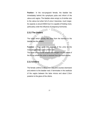 Ob gyn body | PDF