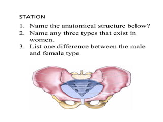 STATION
1. Name the anatomical structure below?
2. Name any three types that exist in
women.
3. List one difference between the male
and female type
 