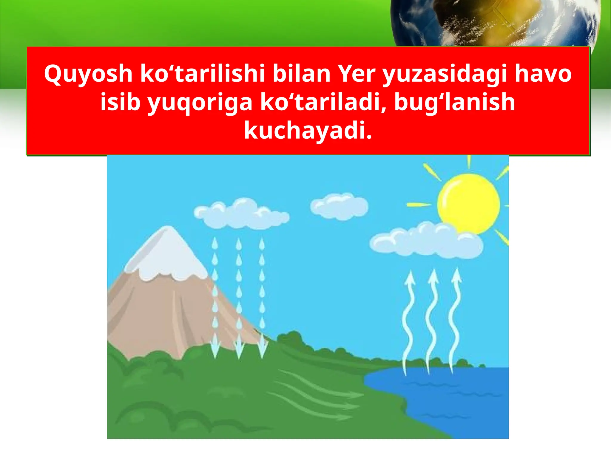 Juicy mushuk yaqin planda