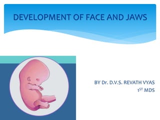 BY Dr. D.V.S. REVATH VYAS
1ST MDS
DEVELOPMENT OF FACE AND JAWS
 