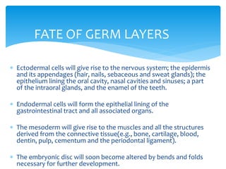 Development of face by revath | PPTX