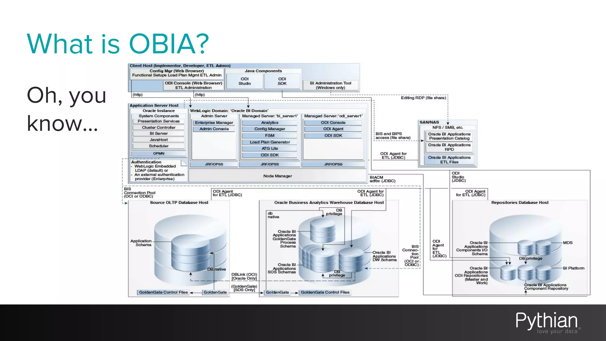 What is OBIA?
Oh, you
know...
 