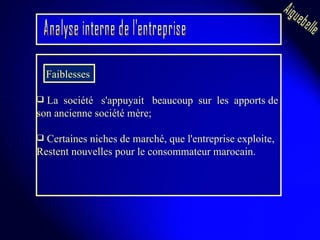 La  société  s'appuyait  beaucoup  sur  les  apports de  son ancienne société mère;  Certaines niches de marché, que l'entreprise exploite, Restent nouvelles pour le consommateur marocain. Aiguebelle Faiblesses  Analyse interne de l'entreprise 