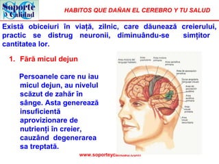 HABITOS QUE DAÑAN EL CEREBRO Y TU SALUD
www.soporteycalidad.com
Există obiceiuri în viaţă, zilnic, care dăunează creierului,
practic se distrug neuronii, diminuându-se simţitor
cantitatea lor.
1. Fără micul dejun
Persoanele care nu iau
micul dejun, au nivelul
scăzut de zahăr în
sânge. Asta generează
insuficientă
aprovizionare de
nutrienţi în creier,
cauzând degenerarea
sa treptată.
 