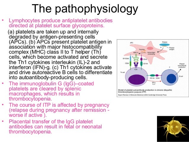 immune thrombocytopenic purpura