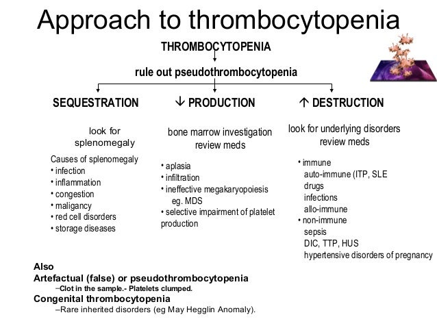 immune thrombocytopenic purpura