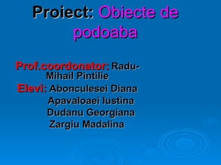 Proiect:   Obiecte de podoaba Prof.coordonator:   Radu-Mihail Pintilie Elevi:   Abonculesei Diana Apavaloaei Iustina Dudanu Georgiana Zargiu Madalina 