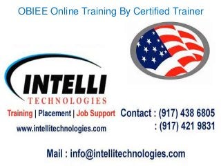 OBIEE Online Training By Certified Trainer

 