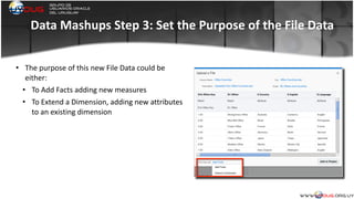 Data	
  Mashups	
  Step	
  3:	
  Set	
  the	
  Purpose	
  of	
  the	
  File	
  Data
• The	
  purpose	
  of	
  this	
  new	
  File	
  Data	
  could	
  be	
  
either:	
  
• To	
  Add	
  Facts	
  adding	
  new	
  measures	
  
• To	
  Extend	
  a	
  Dimension,	
  adding	
  new	
  attributes	
  
to	
  an	
  existing	
  dimension	
  
	
  
 