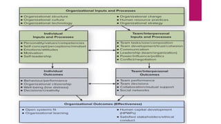 Organisational Behaviour Introduction for MBA