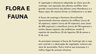 FLORA E
FAUNA
A vegetação é altamente adaptada ao clima seco da
caatinga, com aparição das plantas xerófilas. Uma
grande característica são plantas como Mandacaru e o
Xique xique. De mesma forma, os Umbuzeiros e os Ipês.
A fauna da caatinga é bastante diversificada,
apresentando diversas espécies de anfíbios (cerca de
45 espécies), répteis (cerca de 97 espécies), aves (mais
de 200 espécies) e mamíferos (cerca de 178 espécies) e
muitas dessas espécies são endêmicas, sendo 13
espécies de mamíferos, 23 de lagartos, 20 de peixes e
15 de aves.
As principais ameaças à fauna da Caatinga são a caça
sem controle e a destruição da vegetação, inclusive por
meio de queimadas. Outro motivo que preocupa é o
tráfico ilegal de animais silvestres.
 