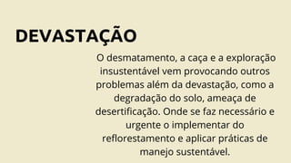 DEVASTAÇÃO
O desmatamento, a caça e a exploração
insustentável vem provocando outros
problemas além da devastação, como a
degradação do solo, ameaça de
desertificação. Onde se faz necessário e
urgente o implementar do
reflorestamento e aplicar práticas de
manejo sustentável.
 