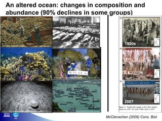 An altered ocean: changes in composition and
abundance (90% declines in some groups)



                                         1950s




                                         1980s




                                         2007


                               McClenachen (2009) Cons. Biol.
 