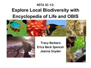 NSTA SC-12:
Explore Local Biodiversity with
Encyclopedia of Life and OBIS
Tracy Barbaro
Erica Beck Spencer
Joanna Snyder
 