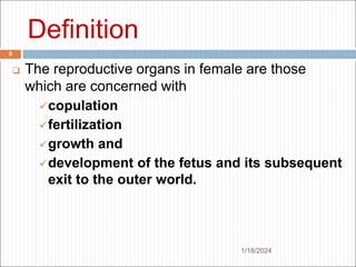 OB I session one.ppt