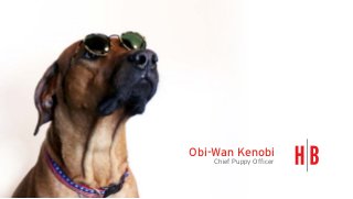 Obi-Wan Kenobi
Chief Puppy Officer
 
