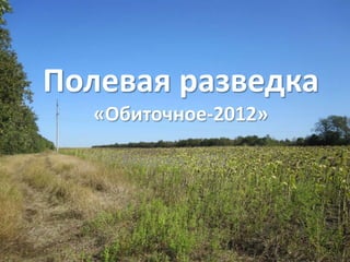 Полевая разведка
  «Обиточное-2012»

    Бердянск - 2012
 