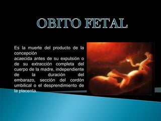 OBITO FETAL Es la muerte del producto de la concepción acaecida antes de su expulsión o de su extracción completa del cuerpo de la madre, independiente de la duración del embarazo, sección del cordón umbilical o el desprendimiento de la placenta. 