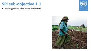 SPI sub-objective 1.1
• Soil organic carbon gives life to soil
 