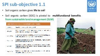Refined guidance for implementation of land degradation neutrality, under objective 1 (ICCD/COP(14)/CST/2)